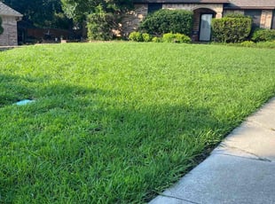 Sarah Z.'s turf care service result