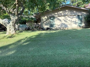 Tish R.'s turf maintenance service result