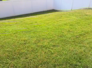 Angie G.'s grass cutting service result