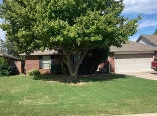 Rachel K.'s turf care service result