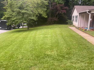 Lindsey M.'s turf maintenance service result