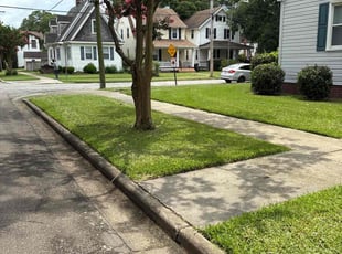 Sonali S.'s grass maintenance service result