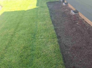 Fouad B.'s turf care service result