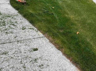 Doretta T.'s grass cutting service result