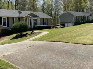 Angela C.'s lawn care service result