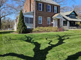 Tim D.'s grass maintenance service result