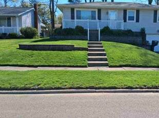 Joe B.'s turf care service result
