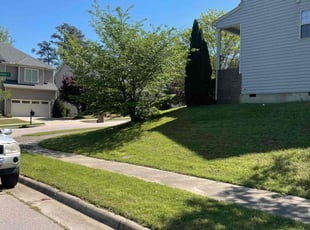 Lesley K.'s lawn maintenance service result