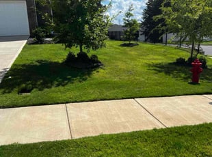 Lagina S.'s lawn maintenance service result