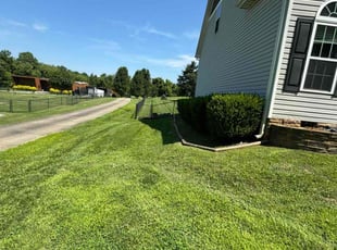 Noemi C.'s grass maintenance service result