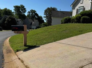 Steve M.'s turf care service result