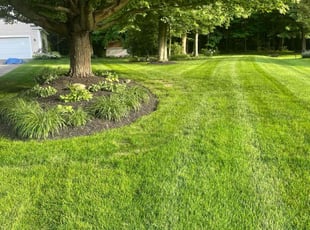 Kevin R.'s lawn maintenance service result