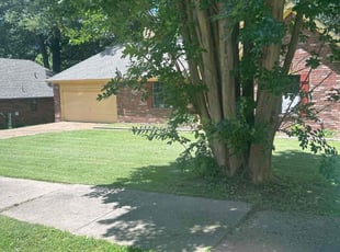 Sandra V.'s grass cutting service result