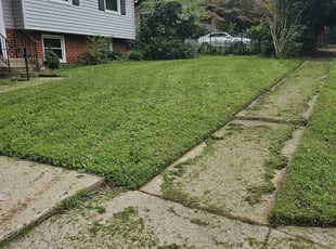 Debra B.'s turf maintenance service result