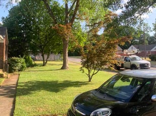 Jacqueline N.'s lawn service service result