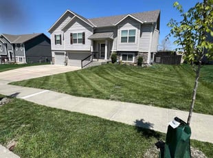 Anita R.'s grass cutting service result