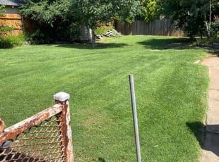 Richard H.'s lawn care service result