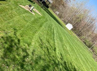 David T.'s lawn maintenance service result