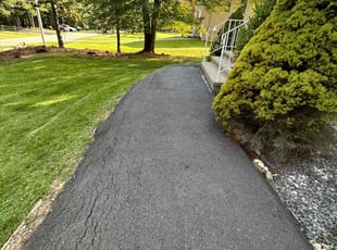 Leza M.'s turf maintenance service result