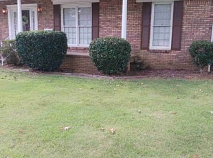 Connie M.'s Bush Trimming service result