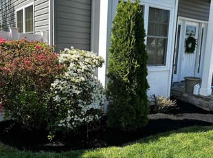 Alex R.'s Mulching service result