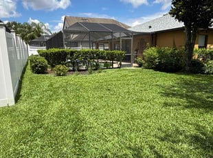 Kristen H.'s lawn care service result