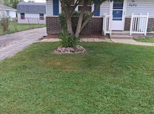 Patti K.'s lawn maintenance service result