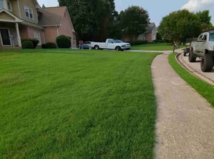 John D.'s lawn care services service result