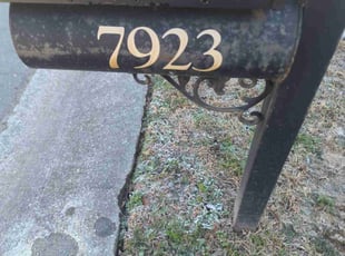 Natalie P.'s grass cutting service result