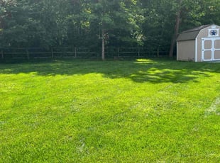 Martin P.'s lawn care services service result