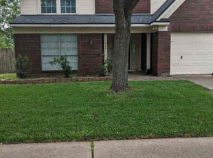 Dick S.'s lawn service service result