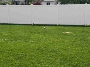 Cailey G.'s yard service service result