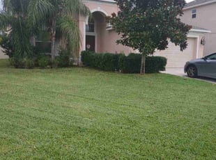 Emily D.'s turf maintenance service result