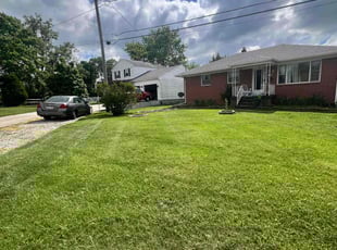 Faryal D.'s lawn care service result
