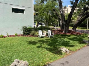 Paul C.'s lawn care services service result