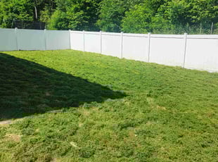 Kane C.'s lawn service service result