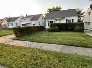 Chris T.'s Bush Trimming service result