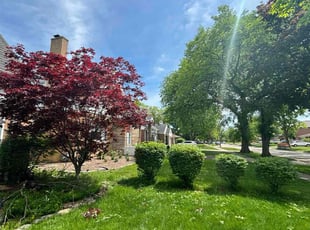 Frank M.'s Bush Trimming service result