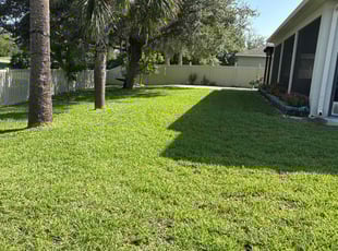 Bob B.'s turf maintenance service result