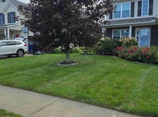 Jack A.'s lawn service service result