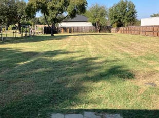 Dana S.'s turf care service result