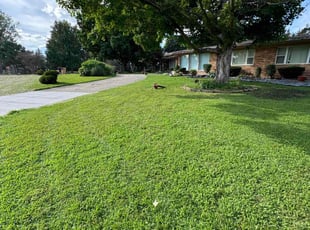 Deborah D.'s turf care service result