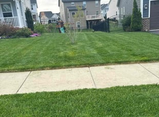 Brandon F.'s lawn maintenance service result