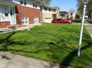 Nicole L.'s grass cutting service result