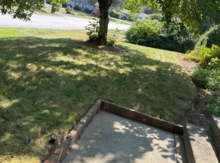 Peggie A.'s turf maintenance service result