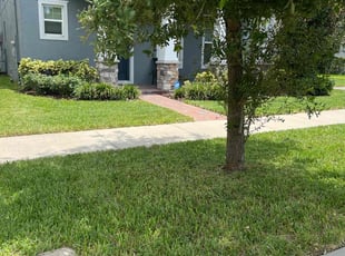 Gregory P.'s grass cutting service result