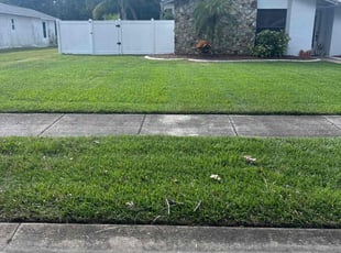 Dakota S.'s grass cutting service result