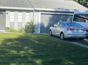 Michael D.'s turf care service result