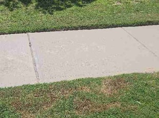 Jeffrey C.'s turf maintenance service result