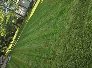 Samuel E.'s turf maintenance service result